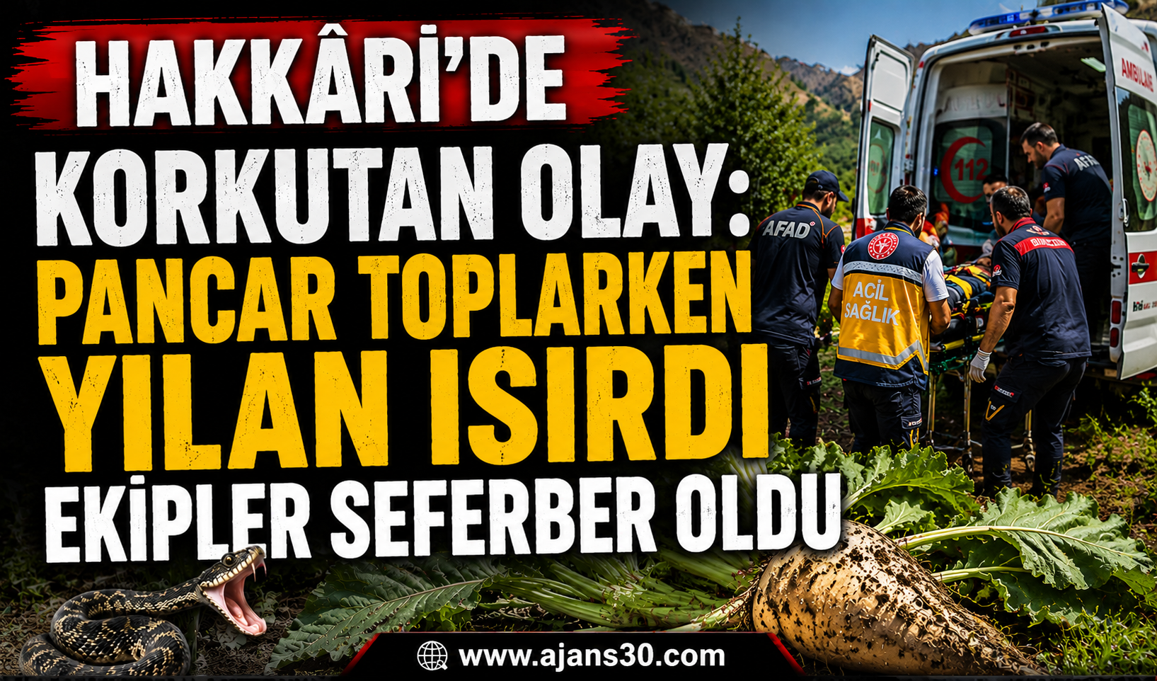 Hakkâri’de Korkutan Olay Pancar Toplarken Yılan Isırdı