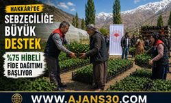 Hakkâri’de Sebzeciliğe Büyük Destek %75 Hibeli Fide Dağıtımı Başlıyor