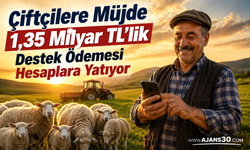 Çiftçilere Müjde 1,35 Milyar TL’lik Destek Ödemesi Hesaplara Yatıyor