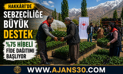 Hakkâri’de Sebzeciliğe Büyük Destek %75 Hibeli Fide Dağıtımı Başlıyor
