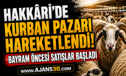 Hakkâri’de Kurban Pazarı Hareketlendi!