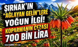 Koparmanın Cezası 700 Bin Lira