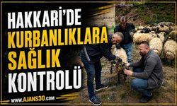 Hakkâri’de Kurban Pazarı Sıkı Denetimde!