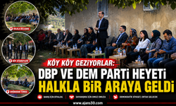 Köy Köy Geziyorlar: DBP ve DEM Parti Heyeti Halkla Bir Araya Geldi