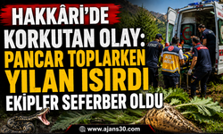 Hakkâri’de Korkutan Olay Pancar Toplarken Yılan Isırdı