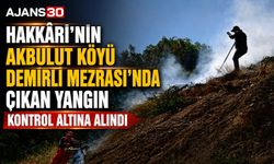 Hakkâri'nin Akbulut Köyü Demirli Mezrası'nda Çıkan Yangın Kontrol Altına Alındı