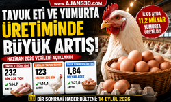 Tavuk Eti ve Yumurta Üretiminde Büyük Artış