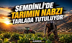 Şemdinli’de Tarımın Nabzı Tarlada Tutuluyor