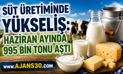 Süt Üretiminde Yükseliş