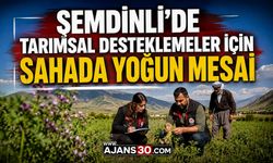 Tarımsal Desteklemeler İçin Sahada Yoğun Mesai