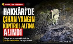 Hakkâri'de Ormanlık Alanda Çıkan Yangın Kontrol Altına Alındı