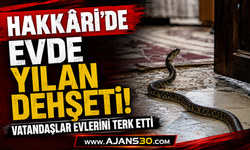 Hakkâri’de Evde Yılan Dehşeti!