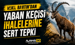 Bartın’dan Yaban Keçisi İhalelerine Sert Tepki