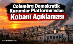 Colemêrg Demokratik Kurumlar Platformu’ndan Kobanî Açıklaması