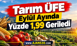 Tarım ÜFE Eylül Ayında Yüzde 1,99 Geriledi