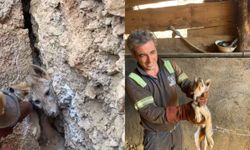 Hakkari’de Maden Ocağında Duygulandıran Kurtarma