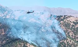 Şemdinli’de Yürekleri Ağızlara Getiren Yangın Kontrol Altına Alındı