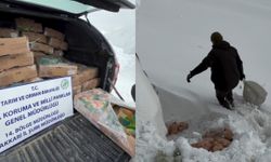 Hakkâri’de Yaban Hayatı İçin Anlamlı Destek