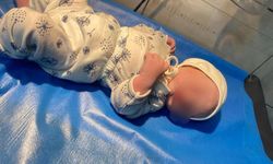 Newroz Günü 68 Bebek Dünyaya Geldi