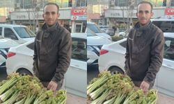 Hakkâri’de Uşkun Sezonu Açıldı: Tezgâhlarda Yerini Aldı, Fiyatı Cep Yakıyor