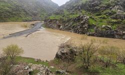 Hakkâri’de Değişmeyen Tablo: Aynı Yol, Aynı Taşkın, Aynı Mağduriyet