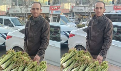 Hakkâri’de Uşkun Sezonu Açıldı: Tezgâhlarda Yerini Aldı, Fiyatı Cep Yakıyor