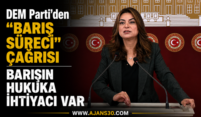 DEM Parti’den Barış Süreci  Çağrısı