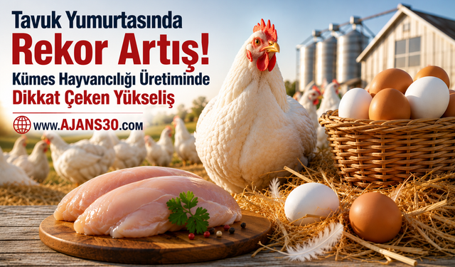 Tavuk Yumurtasında Rekor Artış!