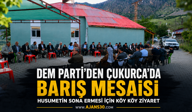 DEM Parti’den Çukurca’da Barış Mesaisi
