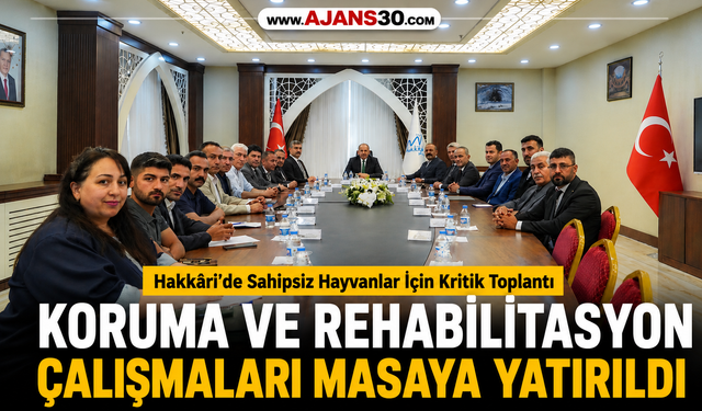 Hakkâri’de Sahipsiz Hayvanlar İçin Kritik Toplantı