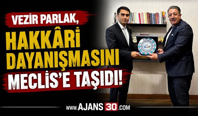 Hakkâri Dayanışması Meclis Gündeminde