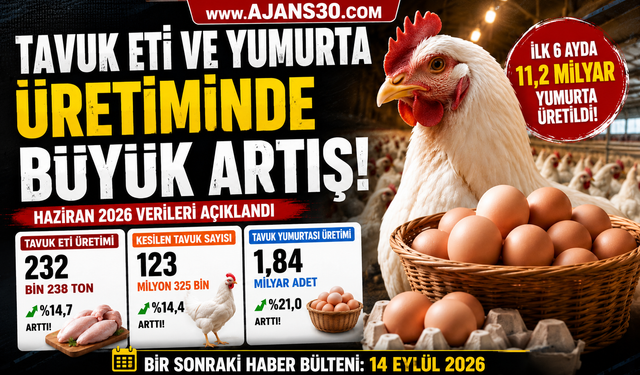 Tavuk Eti ve Yumurta Üretiminde Büyük Artış
