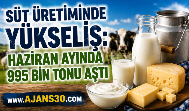 Süt Üretiminde Yükseliş