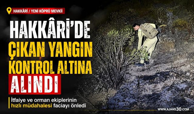 Hakkâri'de Ormanlık Alanda Çıkan Yangın Kontrol Altına Alındı