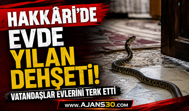 Hakkâri’de Evde Yılan Dehşeti!