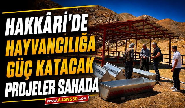 Hakkâri’de Hayvancılığa Güç Katacak Projeler Sahada