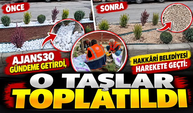 AJANS30 Gündeme Getirdi, Hakkâri Belediyesi Harekete Geçti: O Taşlar Toplatıldı