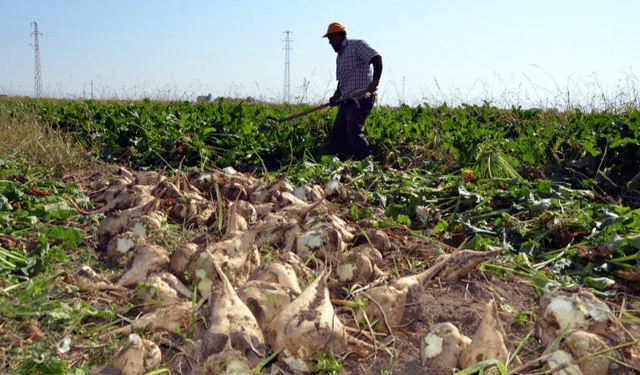 Yandı Çukurova yandı