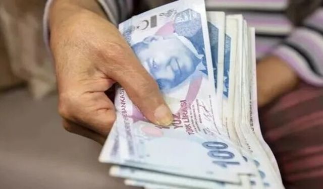 Hakkarililer Müjde: Vatandaşlık Maaşı Geliyor!