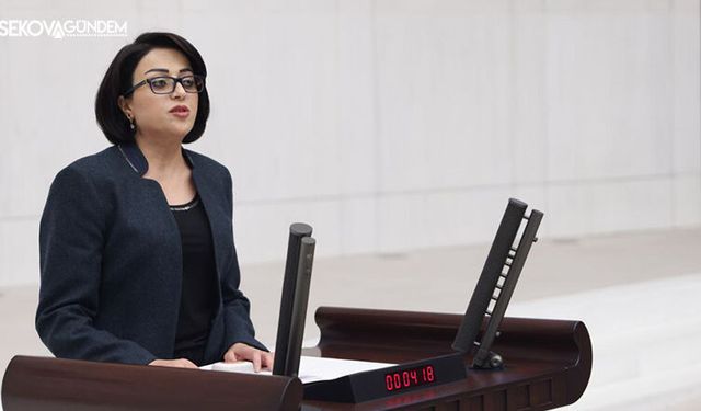 Bartın’dan Erdoğan’ın Hakkari Kararına Sert Tepki: “Doğayı Koruma Değil, Gasp Planı!”