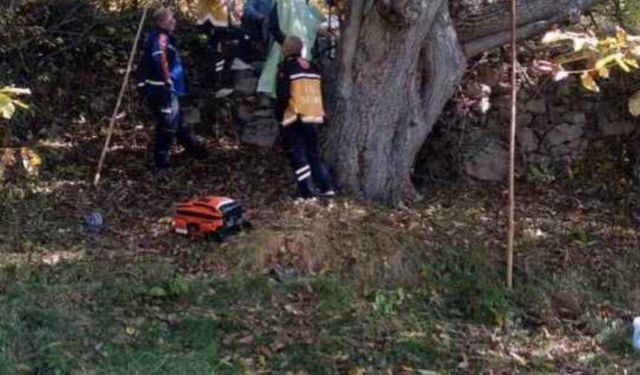 Hakkari’de Acı Olay: Ceviz Ağacından Düşen Yaşlı Adam Hayatını Kaybetti