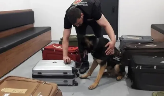 Üzümlü Gümrüğünde Büyük Vuruş! Zehir Tacirlerine Darbe