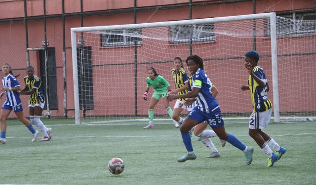 Hakkarigücü, Fenerbahçe'ye 2-0 mağlup oldu