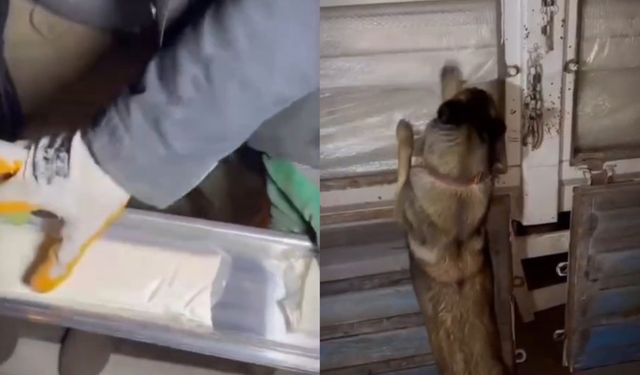 Hakkari Emniyeti Zehir Tacirlerine Geçit Vermedi: 2 Şüpheli Gözaltında