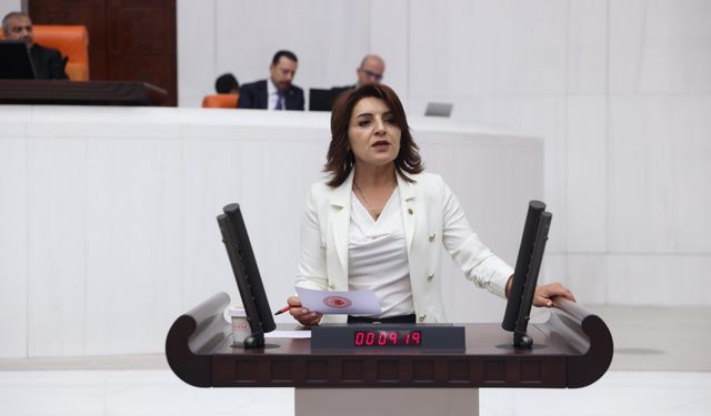 Gülcan Kış  Ovp Krizi Derinleştiriyor