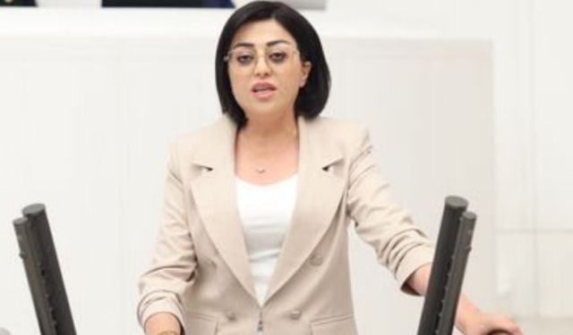 Hakkâri’nin Yolları Meclise Taşındı: Şemdinli–Derecik Hattı İçin 13 Kritik Soru