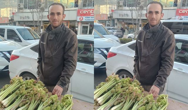 Hakkâri’de Uşkun Sezonu Açıldı: Tezgâhlarda Yerini Aldı, Fiyatı Cep Yakıyor