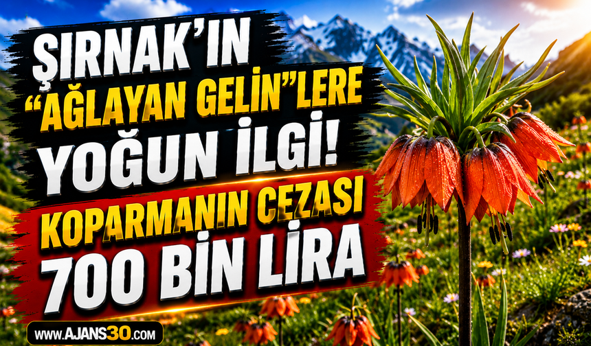 Koparmanın Cezası 700 Bin Lira