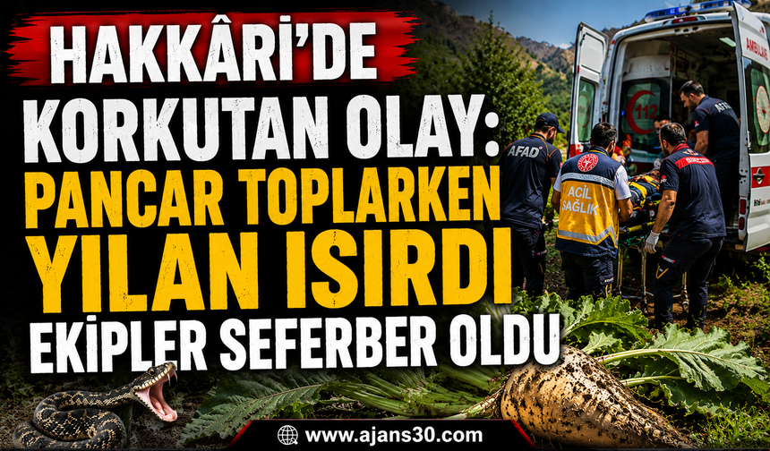 Hakkâri’de Korkutan Olay Pancar Toplarken Yılan Isırdı