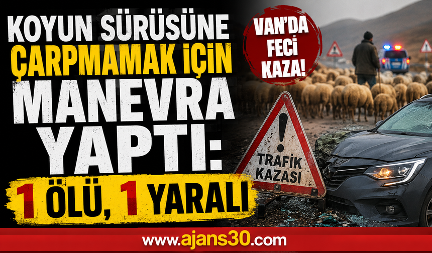 Koyun Sürüsüne Çarpmamak İçin Manevra Yaptı: 1 Ölü, 1 Yaralı